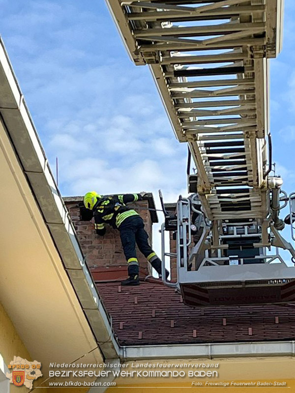 20260419_Stubentiger verschanzt sich im Kamin auf einem Dach in Baden  Foto: Markus Prendinger FF Baden-Stadt