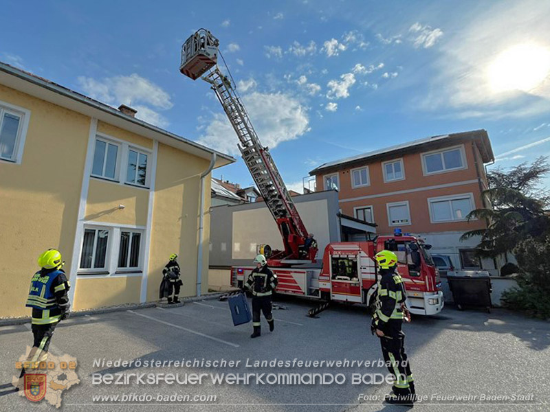 20260419_Stubentiger verschanzt sich im Kamin auf einem Dach in Baden  Foto: Markus Prendinger FF Baden-Stadt