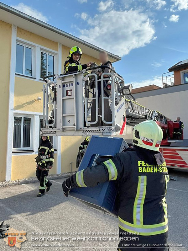 20260419_Stubentiger verschanzt sich im Kamin auf einem Dach in Baden  Foto: Markus Prendinger FF Baden-Stadt