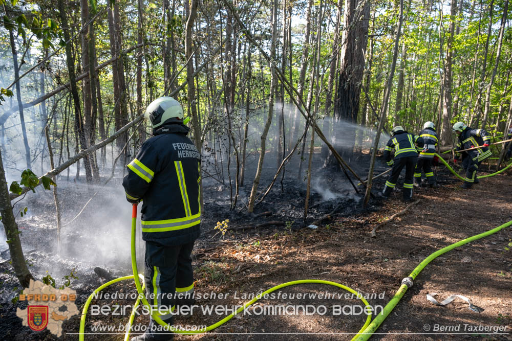 20260503_Waldbrand in Aigen Gemeinde Hernstein  Foto: Bernd Taxberger