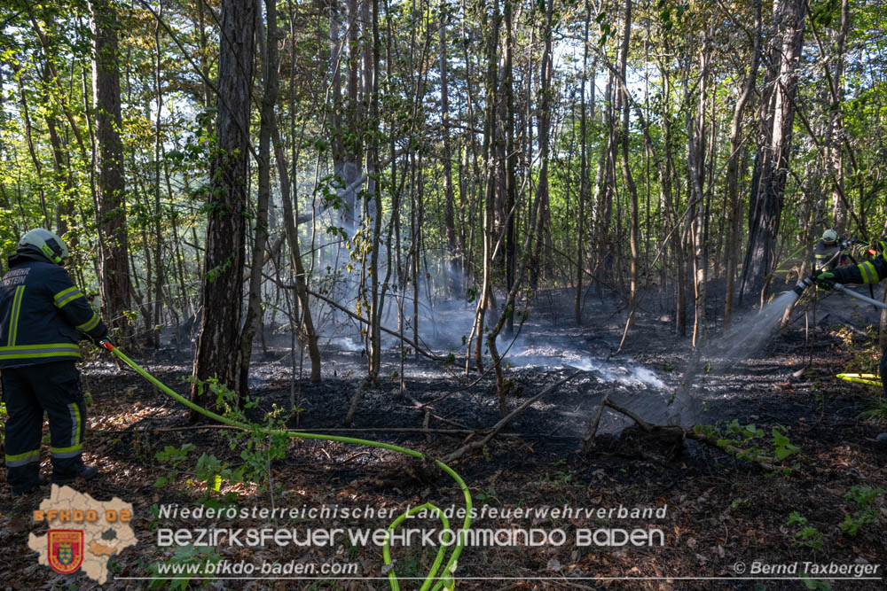20260503_Waldbrand in Aigen Gemeinde Hernstein  Foto: Bernd Taxberger