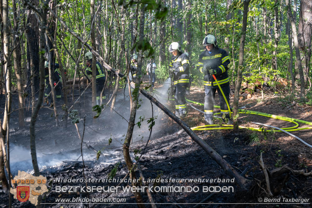 20260503_Waldbrand in Aigen Gemeinde Hernstein  Foto: Bernd Taxberger