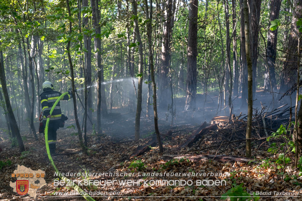 20260503_Waldbrand in Aigen Gemeinde Hernstein  Foto: Bernd Taxberger