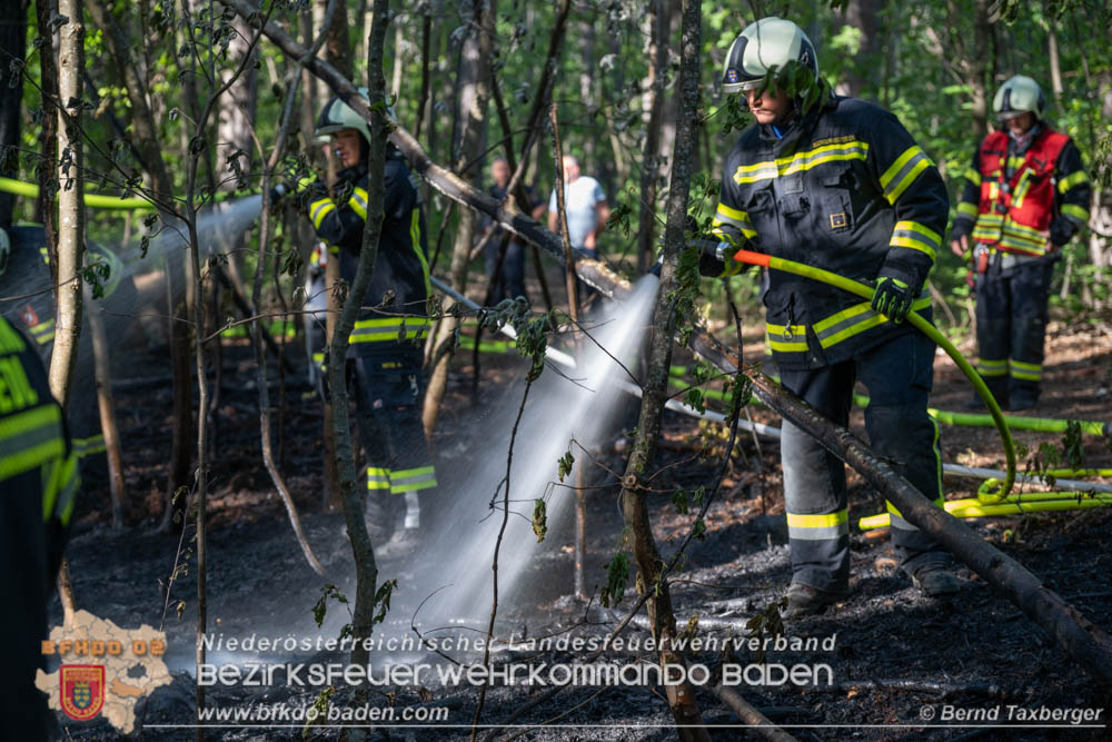 20260503_Waldbrand in Aigen Gemeinde Hernstein  Foto: Bernd Taxberger