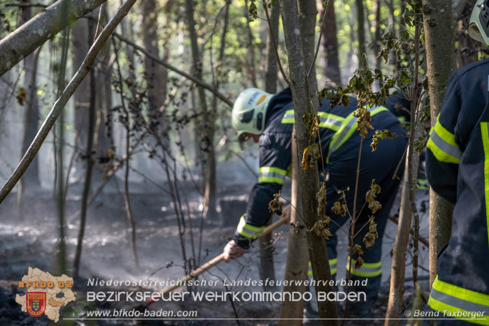 20260503_Waldbrand in Aigen Gemeinde Hernstein  Foto: Bernd Taxberger