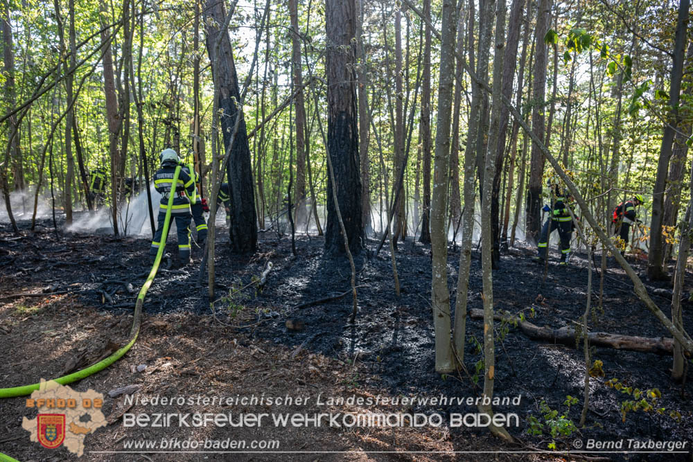 20260503_Waldbrand in Aigen Gemeinde Hernstein  Foto: Bernd Taxberger