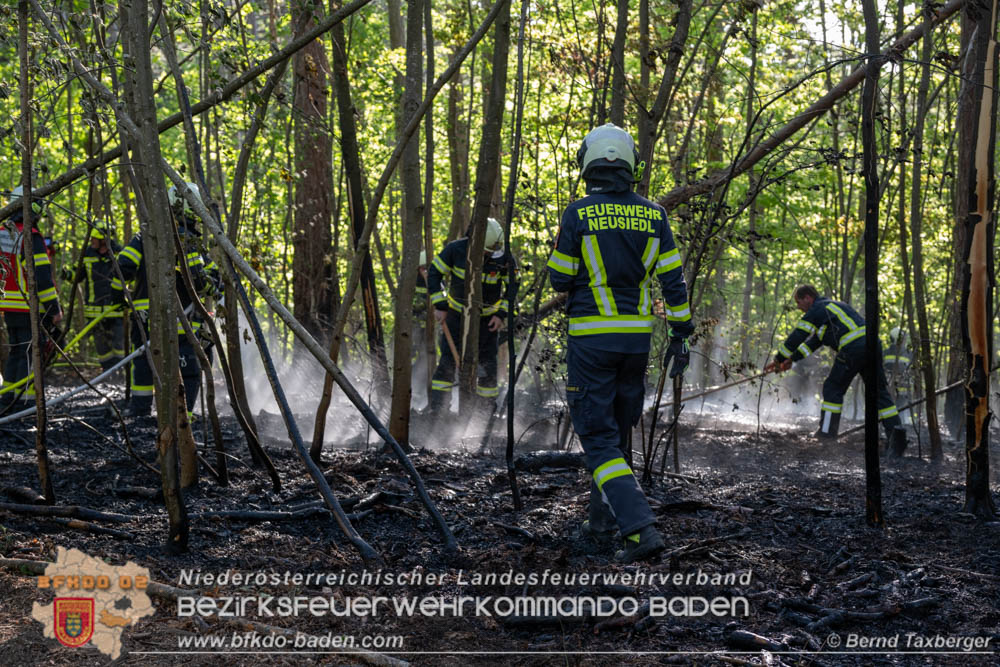 20260503_Waldbrand in Aigen Gemeinde Hernstein Foto: Bernd Taxberger