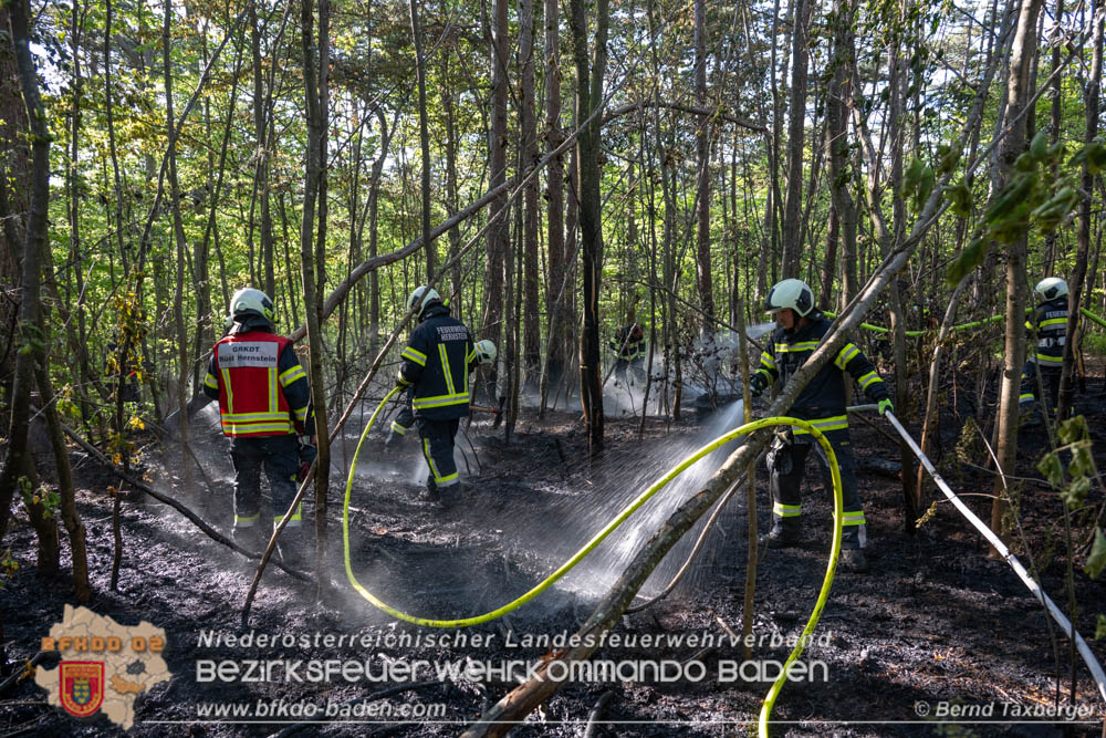 20260503_Waldbrand in Aigen Gemeinde Hernstein Foto: Bernd Taxberger