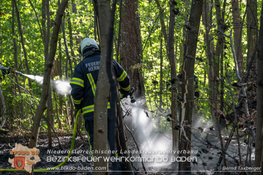 20260503_Waldbrand in Aigen Gemeinde Hernstein Foto: Bernd Taxberger