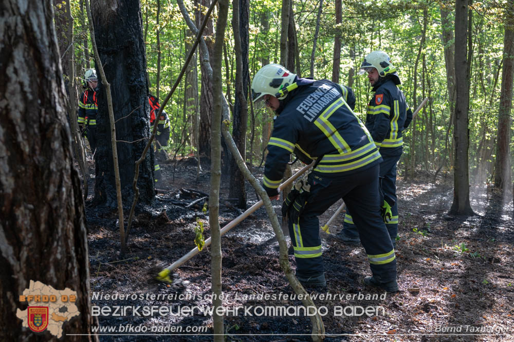 20260503_Waldbrand in Aigen Gemeinde Hernstein Foto: Bernd Taxberger