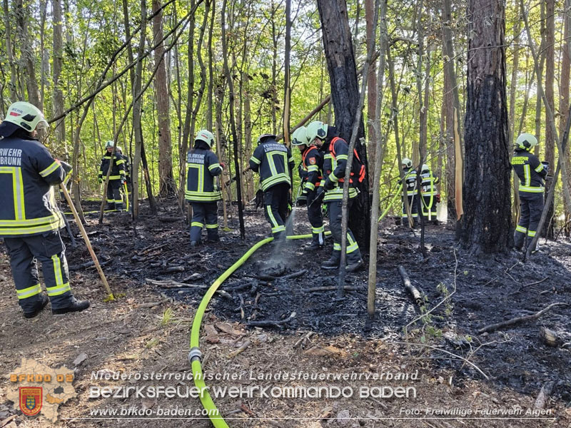 20260503_Waldbrand in Aigen Gemeinde Hernstein  Foto: FF Aigen
