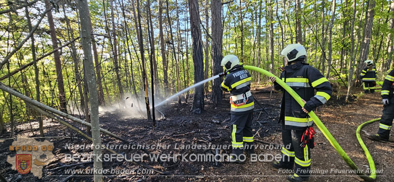 20260503_Waldbrand in Aigen Gemeinde Hernstein Foto: FF Aigen