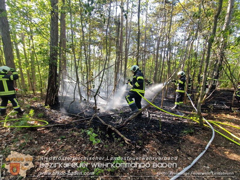 20260503_Waldbrand in Aigen Gemeinde Hernstein Foto: FF Lindabrunn