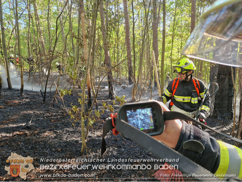 20260503_Waldbrand in Aigen Gemeinde Hernstein Foto: FF Lindabrunn