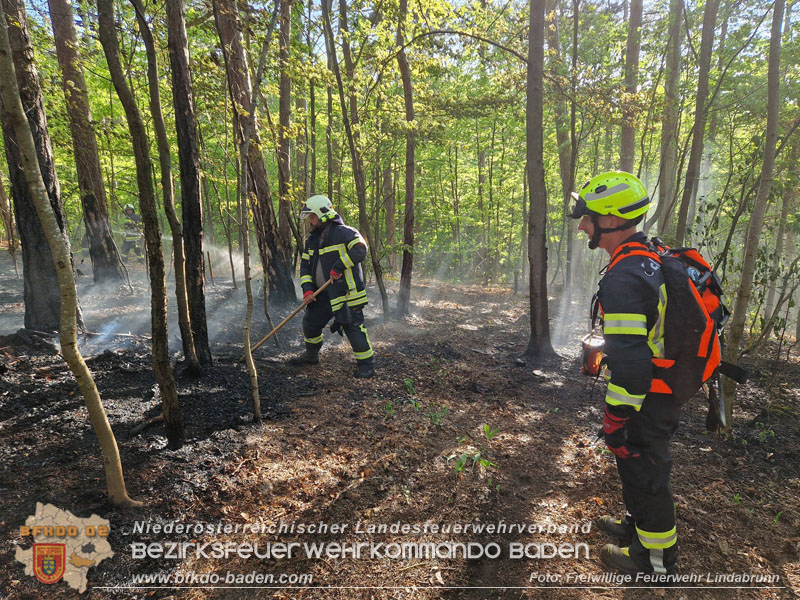 20260503_Waldbrand in Aigen Gemeinde Hernstein Foto: FF Lindabrunn