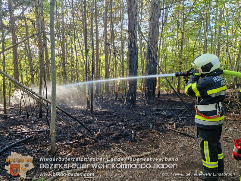 20260503_Waldbrand in Aigen Gemeinde Hernstein Foto: FF Lindabrunn
