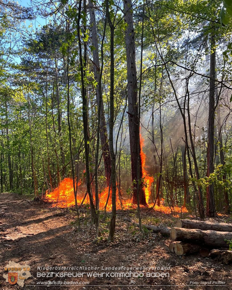 20260503_Waldbrand in Aigen Gemeinde Hernstein Foto: Ingrid Pichler