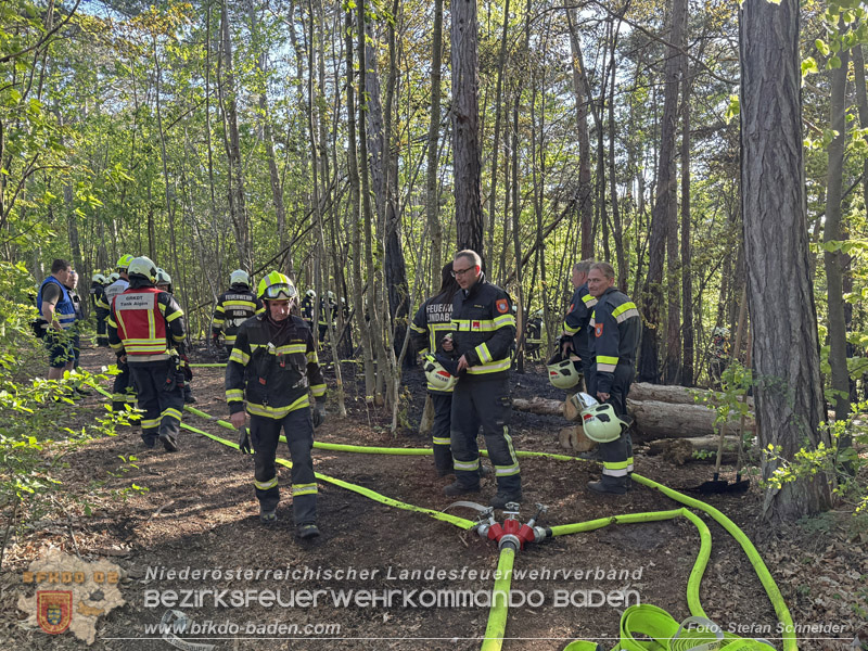 20260503_Waldbrand in Aigen Gemeinde Hernstein Foto: FF Lindabrunn