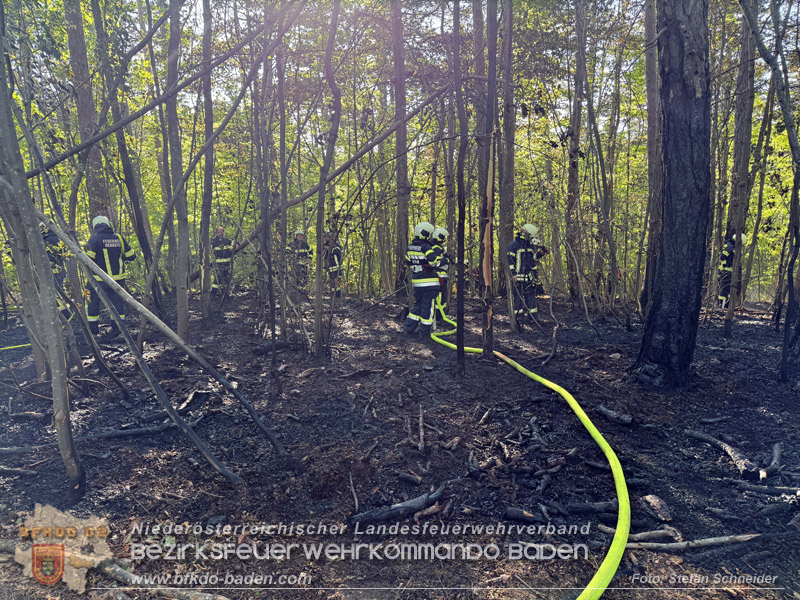 20260503_Waldbrand in Aigen Gemeinde Hernstein Foto: FF Lindabrunn