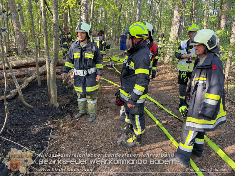 20260503_Waldbrand in Aigen Gemeinde Hernstein Foto: FF Lindabrunn
