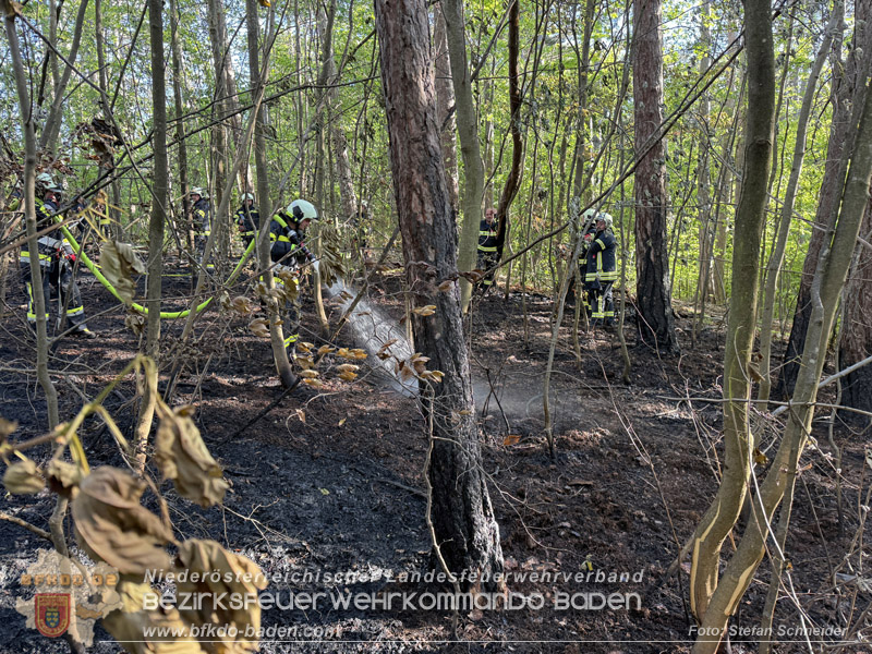 20260503_Waldbrand in Aigen Gemeinde Hernstein Foto: FF Lindabrunn