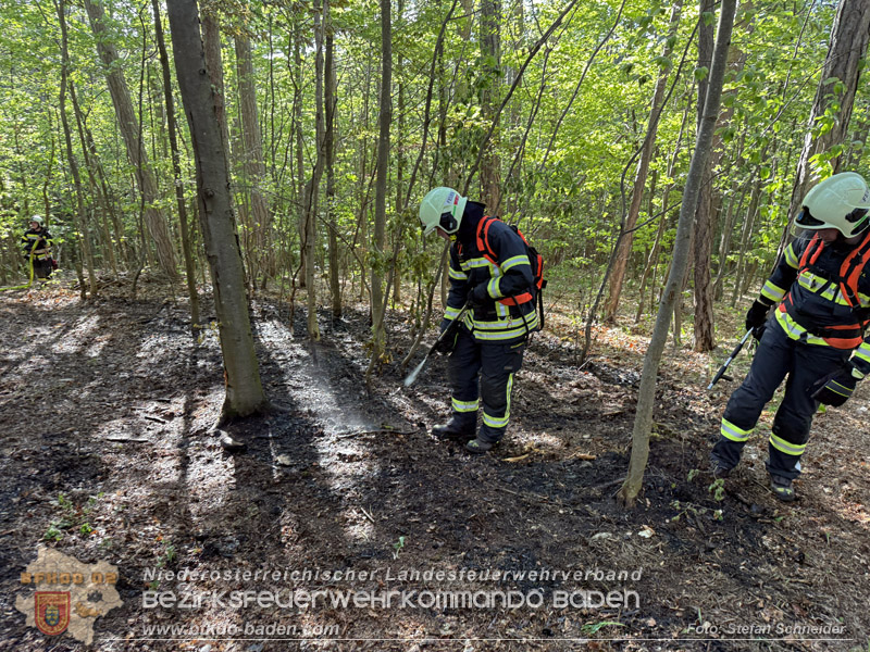 20260503_Waldbrand in Aigen Gemeinde Hernstein Foto: FF Lindabrunn