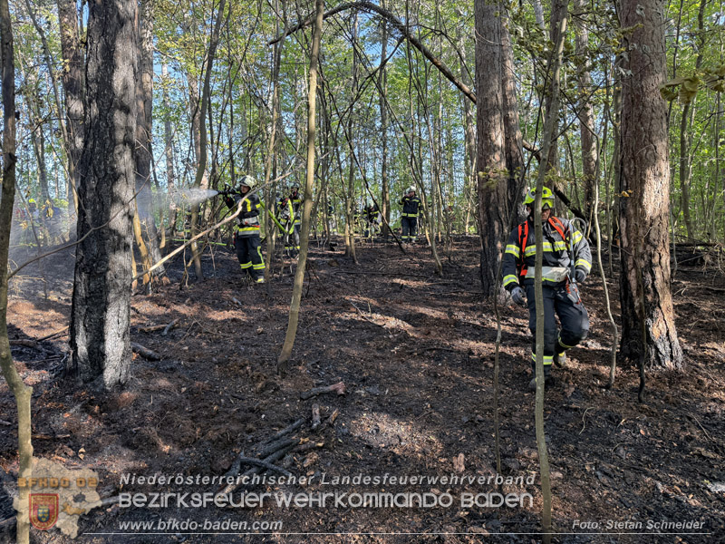 20260503_Waldbrand in Aigen Gemeinde Hernstein Foto: FF Lindabrunn