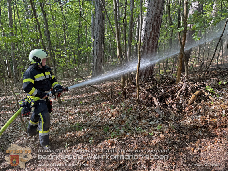 20260503_Waldbrand in Aigen Gemeinde Hernstein Foto: FF Lindabrunn