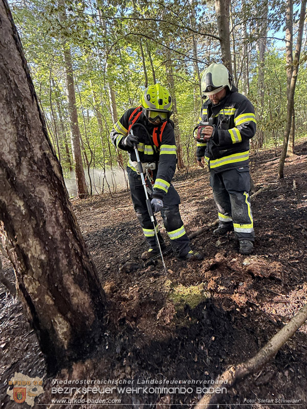 20260503_Waldbrand in Aigen Gemeinde Hernstein Foto: FF Lindabrunn