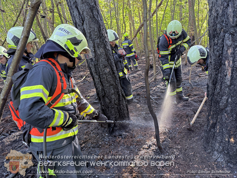 20260503_Waldbrand in Aigen Gemeinde Hernstein Foto: FF Lindabrunn