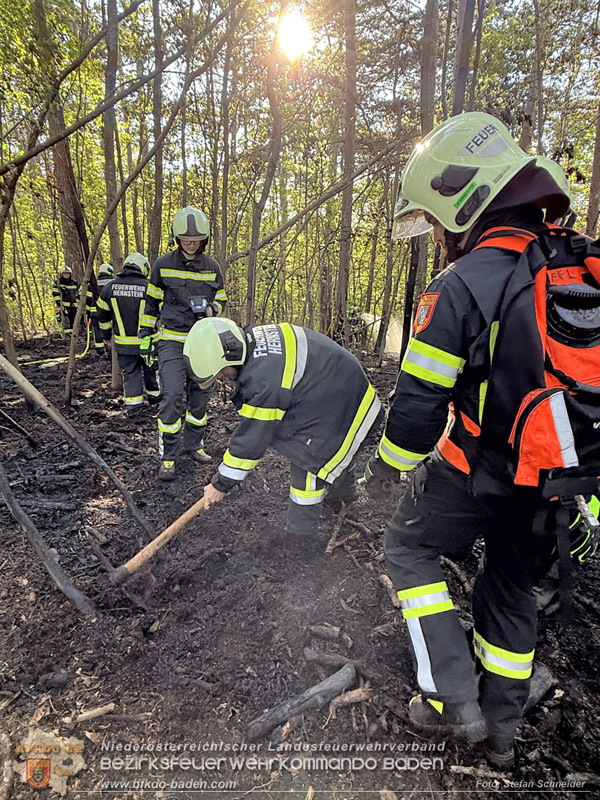 20260503_Waldbrand in Aigen Gemeinde Hernstein Foto: FF Lindabrunn