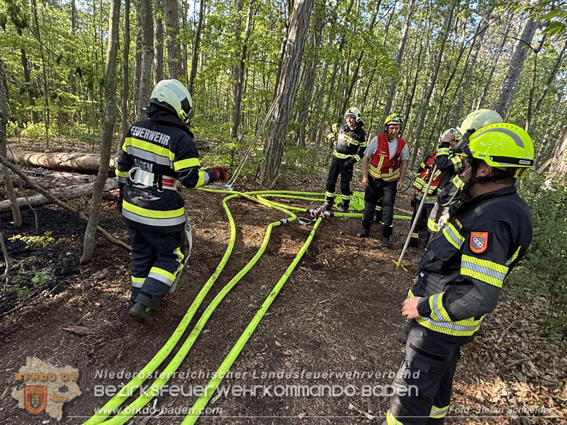 20260503_Waldbrand in Aigen Gemeinde Hernstein Foto: FF Lindabrunn