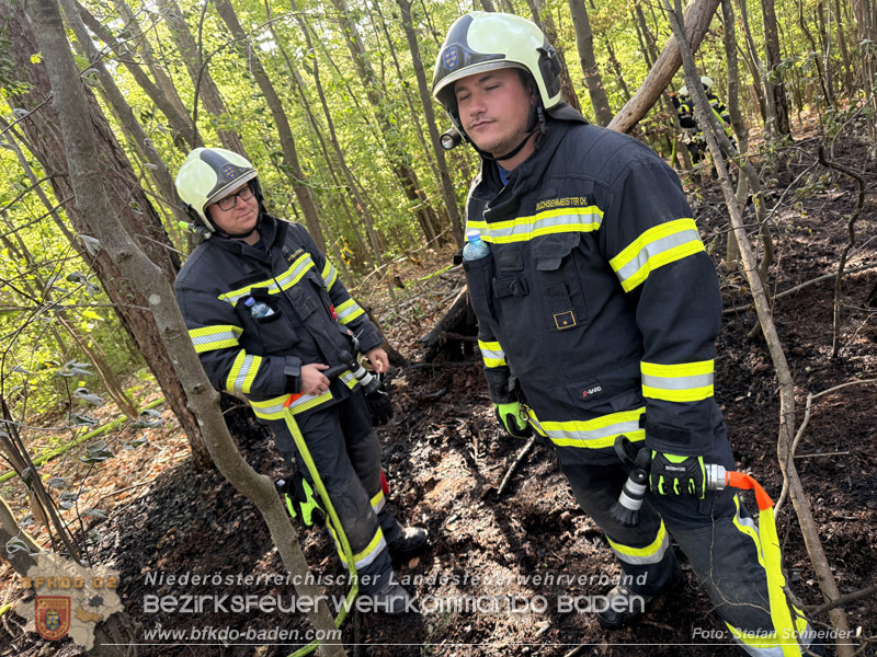 20260503_Waldbrand in Aigen Gemeinde Hernstein Foto: FF Lindabrunn