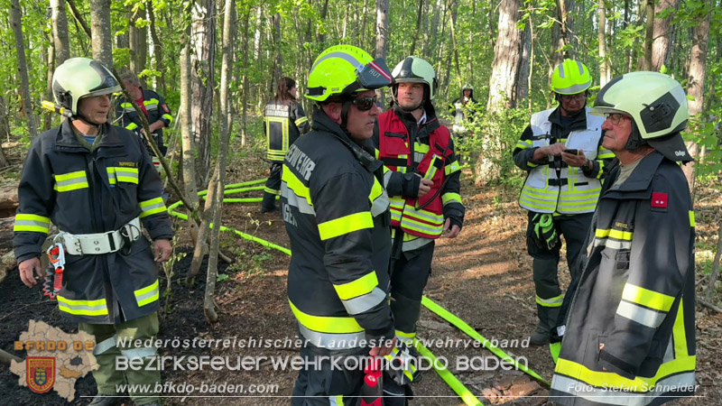 20260503_Waldbrand in Aigen Gemeinde Hernstein Foto: FF Lindabrunn