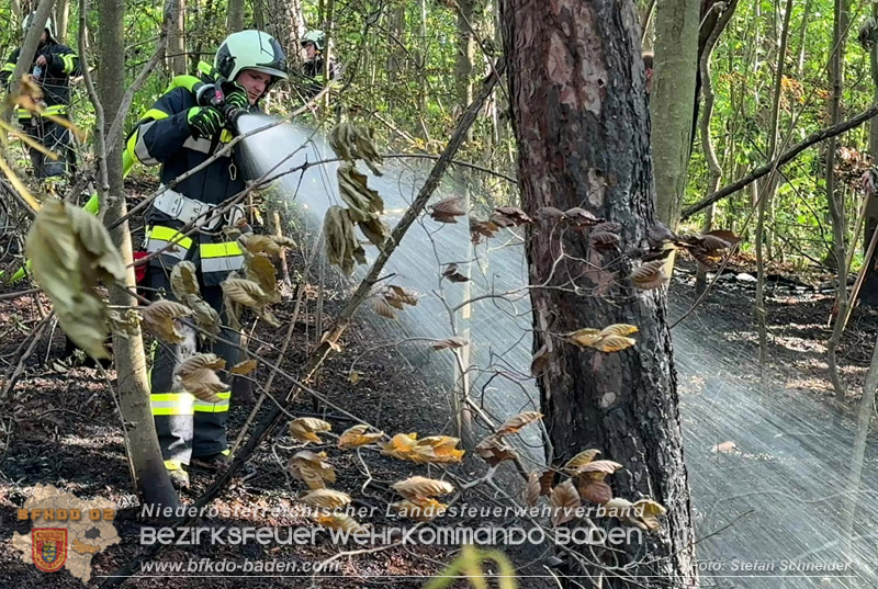20260503_Waldbrand in Aigen Gemeinde Hernstein Foto: FF Lindabrunn