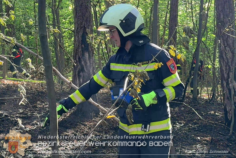 20260503_Waldbrand in Aigen Gemeinde Hernstein Foto: FF Lindabrunn