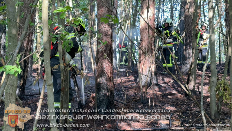 20260503_Waldbrand in Aigen Gemeinde Hernstein Foto: FF Lindabrunn