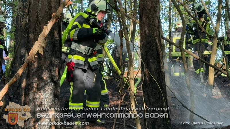 20260503_Waldbrand in Aigen Gemeinde Hernstein Foto: FF Lindabrunn