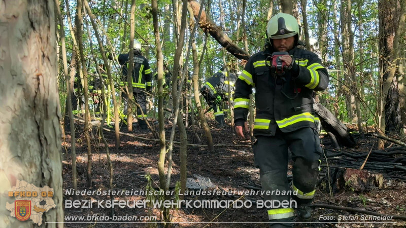 20260503_Waldbrand in Aigen Gemeinde Hernstein Foto: FF Lindabrunn