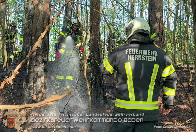 20260503_Waldbrand in Aigen Gemeinde Hernstein Foto: FF Lindabrunn