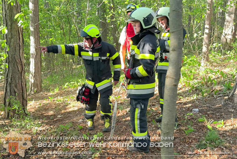 20260503_Waldbrand in Aigen Gemeinde Hernstein Foto: FF Lindabrunn
