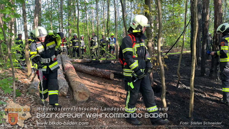 20260503_Waldbrand in Aigen Gemeinde Hernstein Foto: FF Lindabrunn