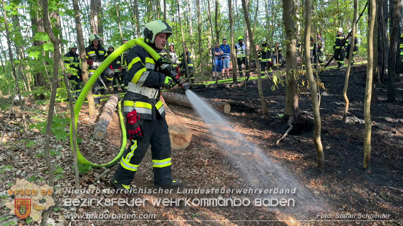 20260503_Waldbrand in Aigen Gemeinde Hernstein Foto: FF Lindabrunn