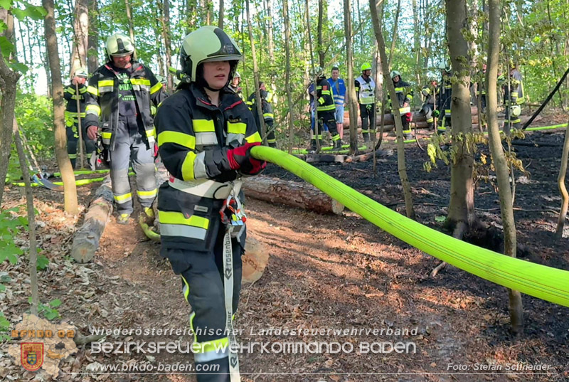 20260503_Waldbrand in Aigen Gemeinde Hernstein Foto: FF Lindabrunn