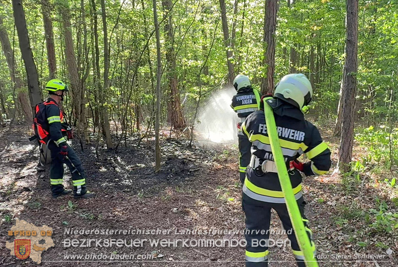 20260503_Waldbrand in Aigen Gemeinde Hernstein Foto: FF Lindabrunn