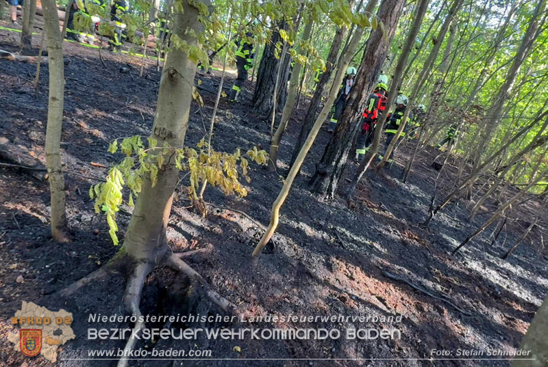 20260503_Waldbrand in Aigen Gemeinde Hernstein Foto: FF Lindabrunn