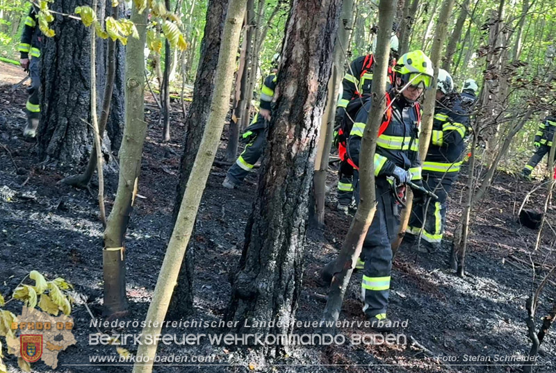 20260503_Waldbrand in Aigen Gemeinde Hernstein Foto: FF Lindabrunn