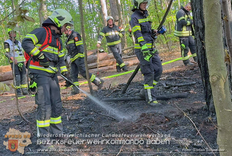 20260503_Waldbrand in Aigen Gemeinde Hernstein Foto: FF Lindabrunn
