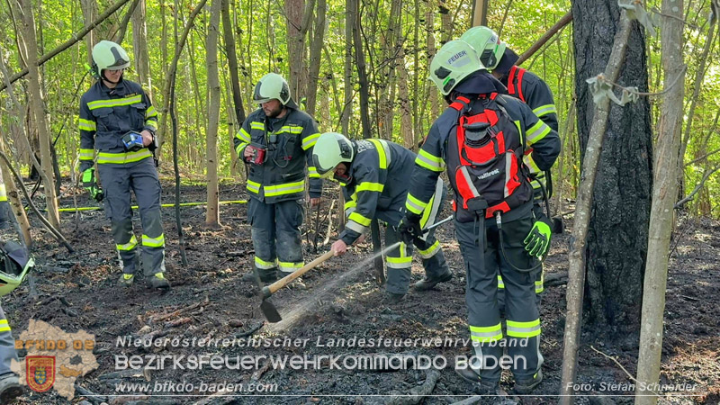 20260503_Waldbrand in Aigen Gemeinde Hernstein Foto: FF Lindabrunn