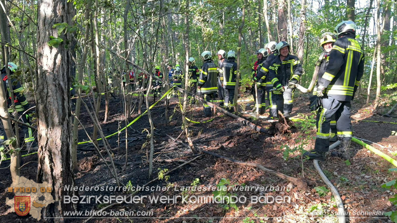 20260503_Waldbrand in Aigen Gemeinde Hernstein Foto: FF Lindabrunn